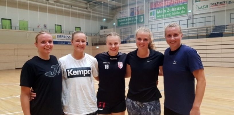 Wildcats starten in die Vorbereitung für die Saison 2019/20