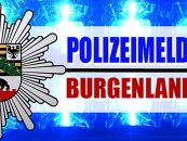 Drohung mit Schusswaffe: SEK-Einsatz in Neversdorf