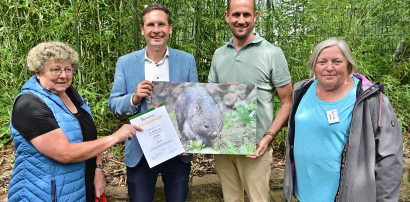Ein Wombat im Zoo Halle: Dr. Alexander Vogt übernimmt Patenschaft