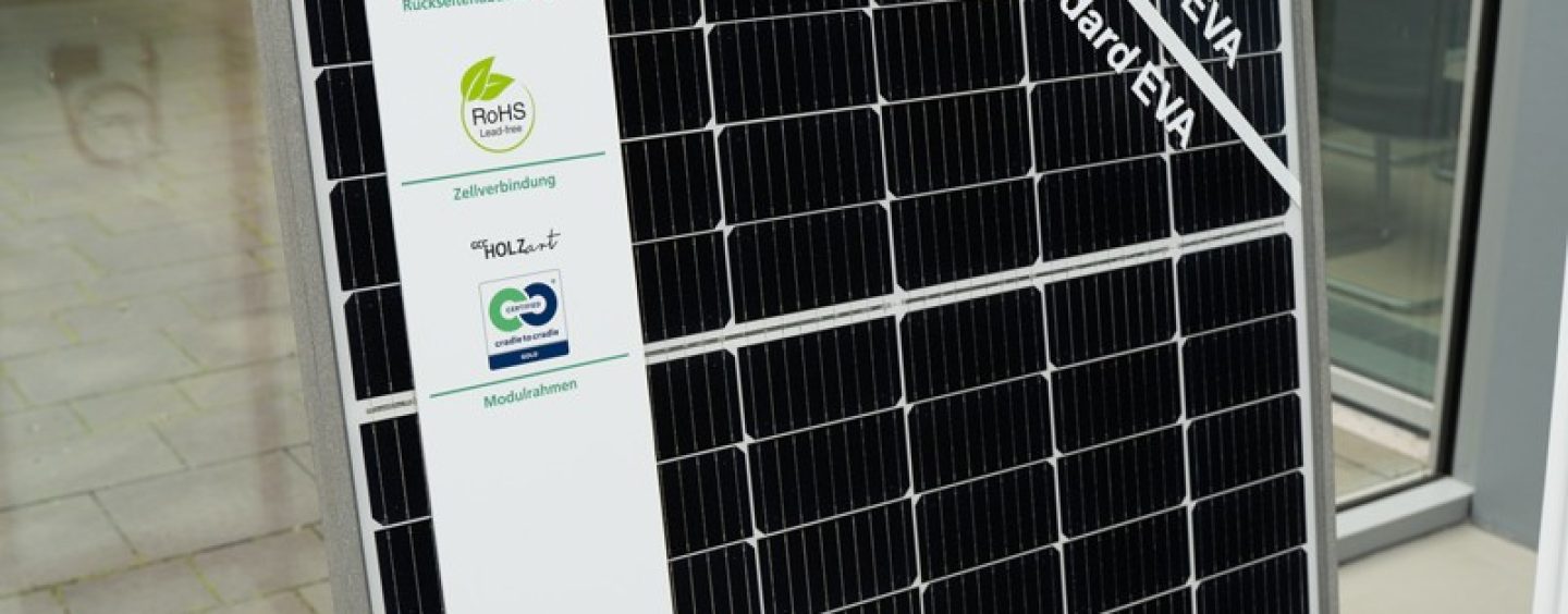 Nachhaltigere Solarmodule aus erneuerbaren Rohstoffen