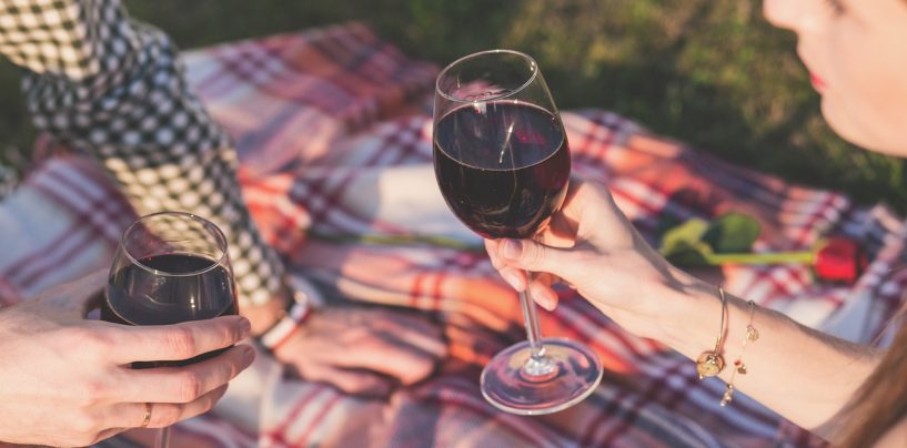 Musikalisches Picknick auf der Burg Querfurt